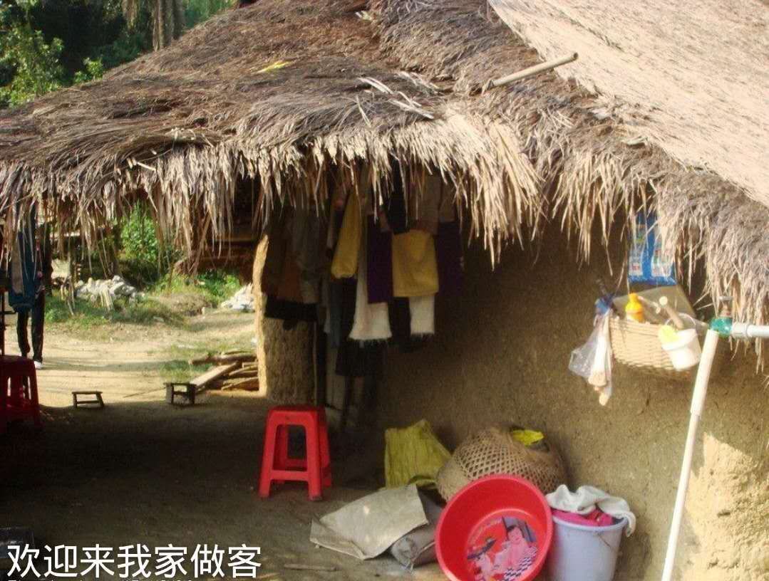 一树梨花压海唐同学☞的图片
