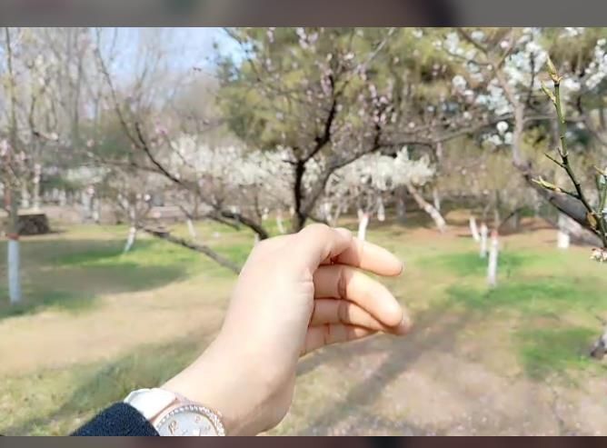 一秒钟の记忆的图片