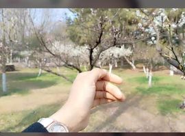 一秒钟の记忆主播照片