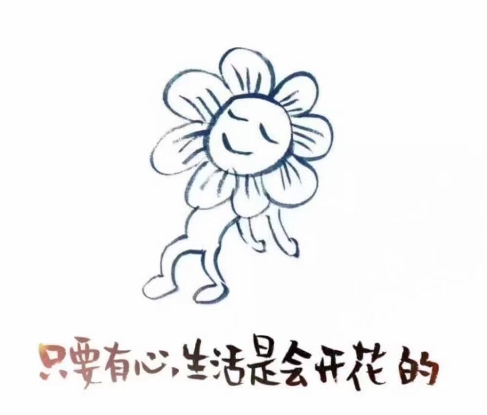 安琪同学的图片