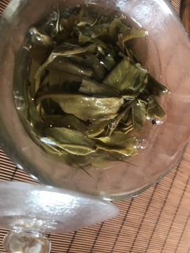 茶茶幸运星的图片