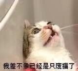 夏小宅👑不讲舞德主播照片