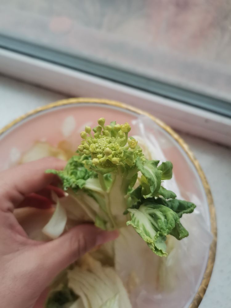 小白队长💧心里美☜的图片