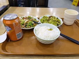 大军带你游玩上海主播照片