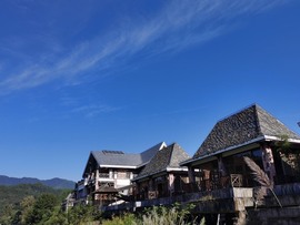 雯雯退主播照片