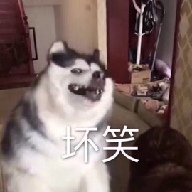 参会人数主播照片