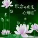 思念fml