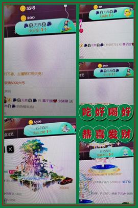 *菜园子*主播照片