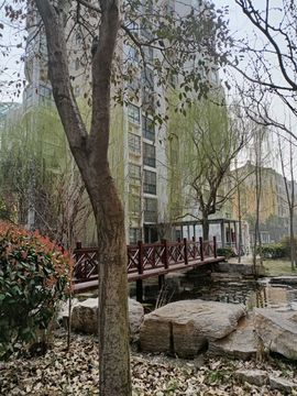 暖心晚上播的图片