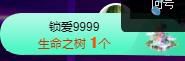 喵崽小花猫的图片