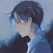 花房VI皮