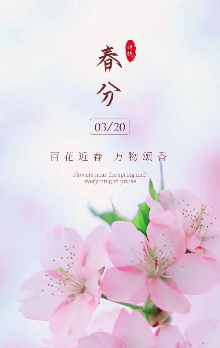安琪同学的图片