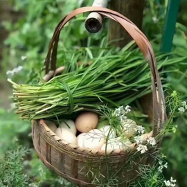 დ释怀დ主播照片