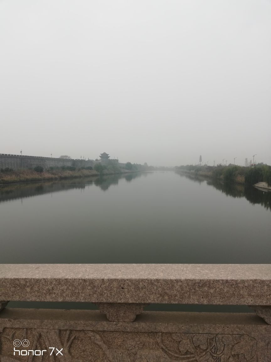 马金科的图片