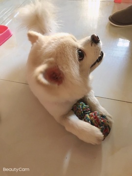 🎵小邓丽君🌺溪儿主播照片