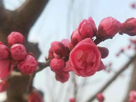 暖心晚上播的图片