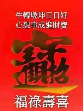 龙菲菲越来越好主播照片