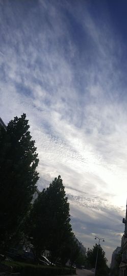 雪儿👑不太会唱的图片