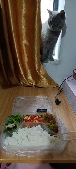 依芝の求百元榜的图片