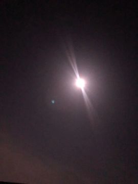 雪儿👑不太会唱的图片