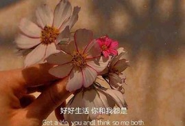 《漫漫》主播照片