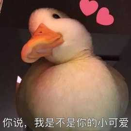 鑫儿～主播照片