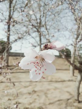 倾音[期遇FM]主播照片