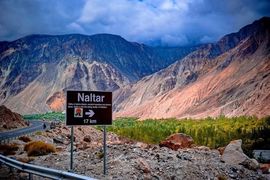 远方的牵挂2021主播照片