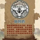 枭琪c海报