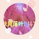 🔵秋风落叶DJ47的头像