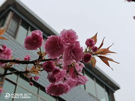 念念尊师萧剑主播照片