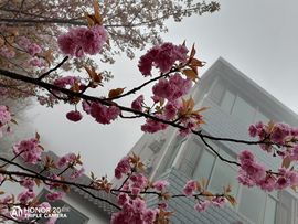 念念尊师萧剑主播照片