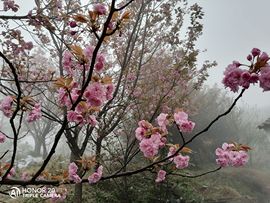 念念尊师萧剑主播照片