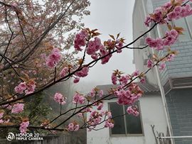 念念尊师萧剑主播照片