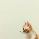 “冷梦