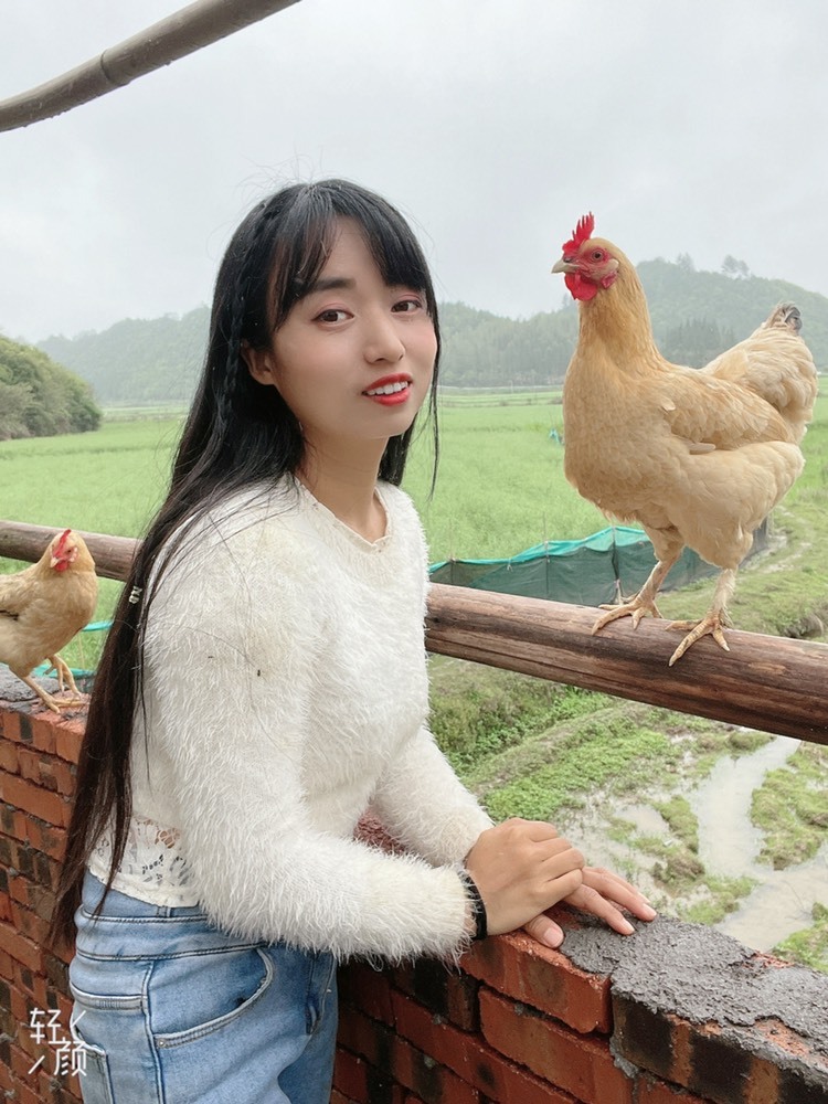 东方不败哪田园风光的图片