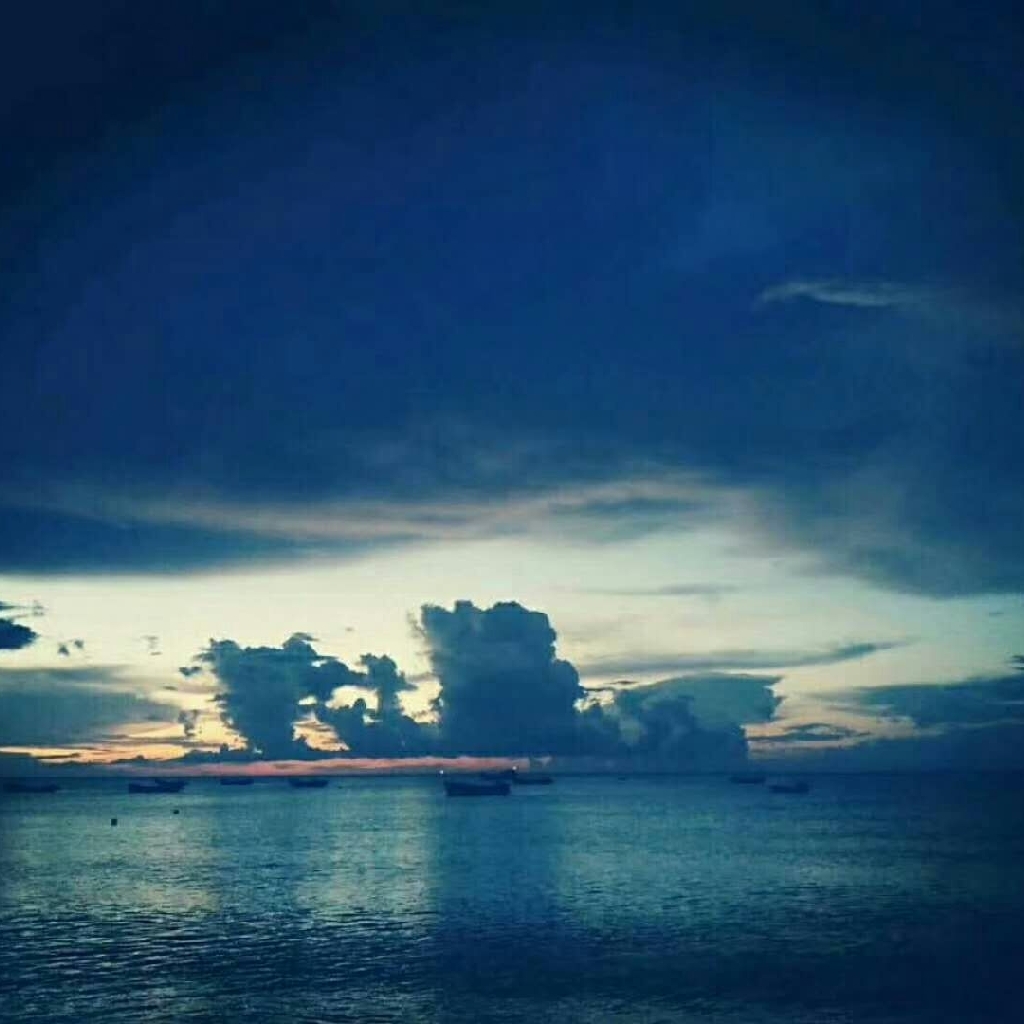 夏夜茶主播照片