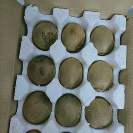 🍏🍌🍌主播照片