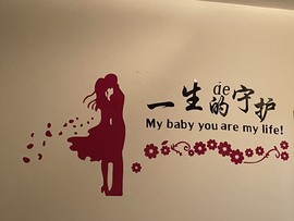 婉婉回来了主播照片