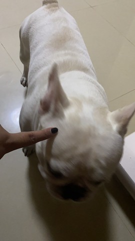 佳琦佳期主播照片