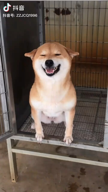 又是开心一天
