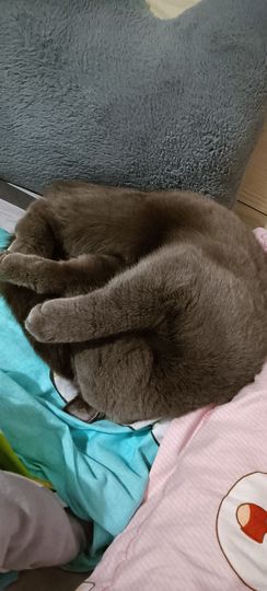 依芝の求百元榜的图片