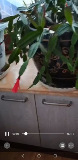 聆听与您欢度国庆的图片