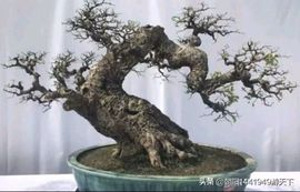 დ释怀დ主播照片
