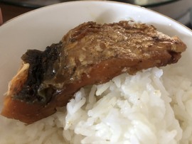 小海屯🐬李主播照片