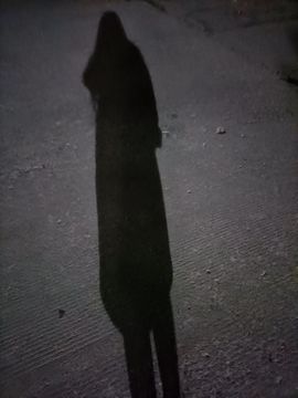 👑䒕暖宝好运旺旺旺主播照片