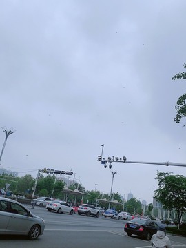 蜜密781888主播照片