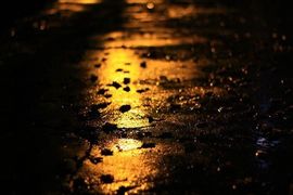 左手天都白🍻的图片