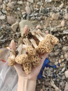 ღ瑋玮主播照片