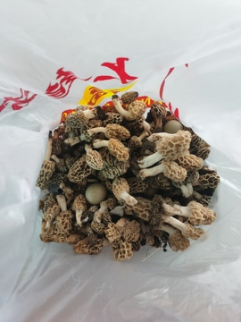 ღ瑋玮主播照片